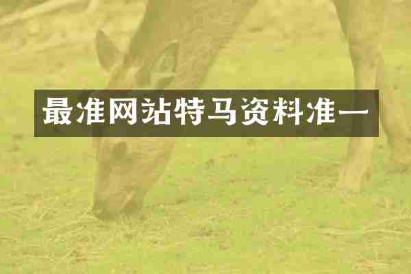 最准网站特马资料准一