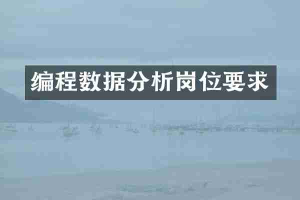 编程数据分析岗位要求