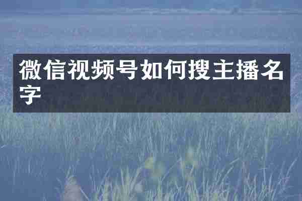 微信视频号如何搜主播名字
