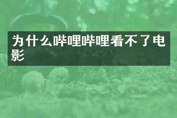 为什么哔哩哔哩看不了电影