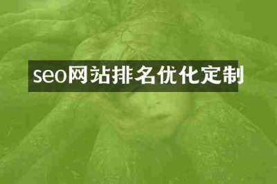 seo网站排名优化定制