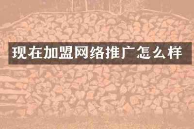 现在加盟网络推广怎么样