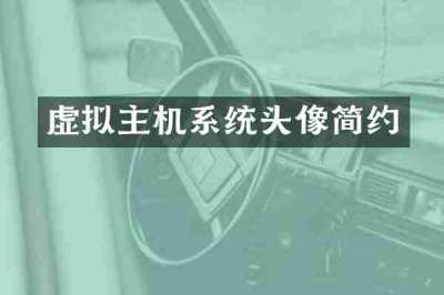 虚拟主机系统头像简约