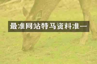 最准网站特马资料准一