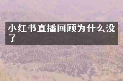 小红书直播回顾为什么没了