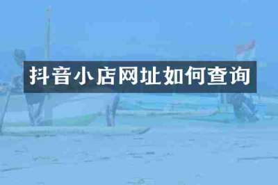 抖音小店网址如何查询