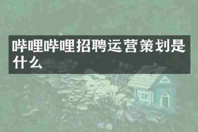 哔哩哔哩招聘运营策划是什么