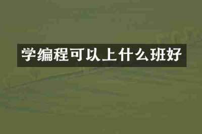 学编程可以上什么班好