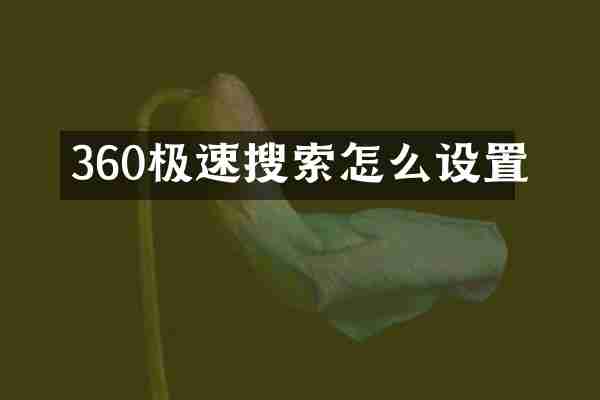 360极速搜索怎么设置