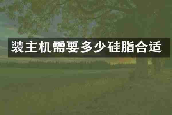 装主机需要多少硅脂合适