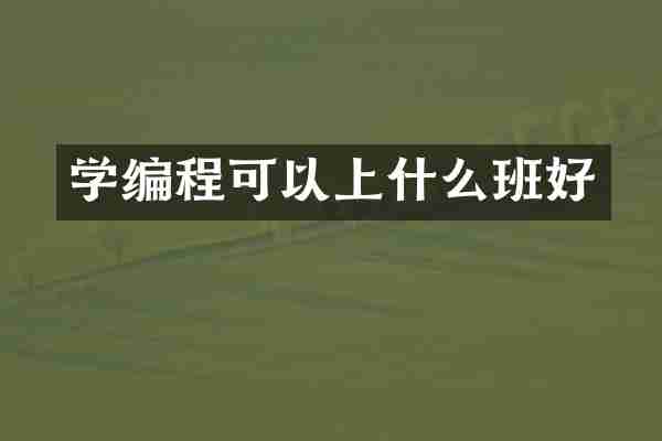 学编程可以上什么班好