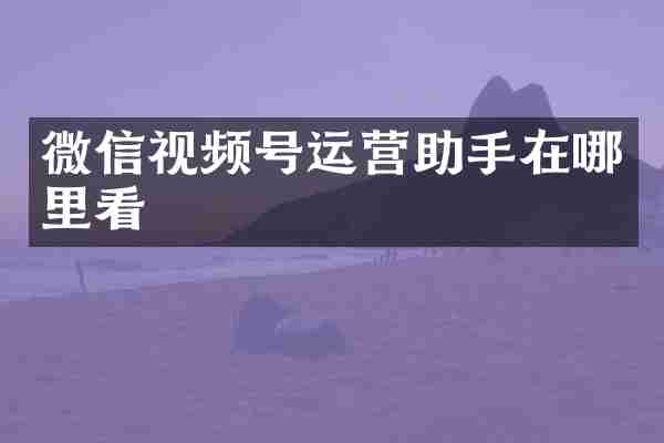 微信视频号运营助手在哪里看
