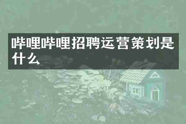 哔哩哔哩招聘运营策划是什么