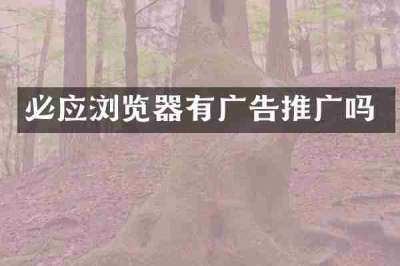 必应浏览器有广告推广吗