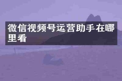 微信视频号运营助手在哪里看