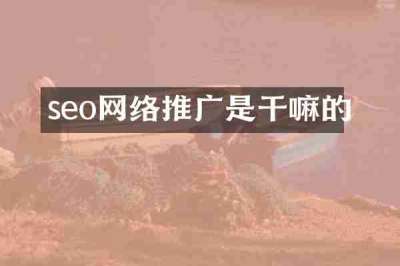 seo网络推广是干嘛的