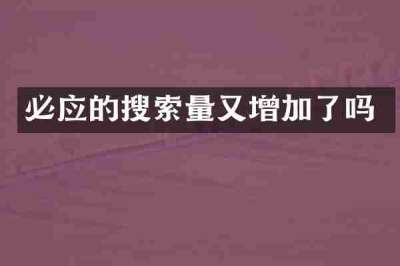 必应的搜索量又增加了吗
