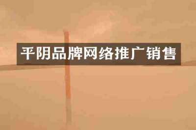平阴品牌网络推广销售