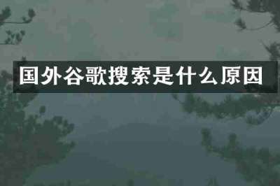 国外谷歌搜索是什么原因