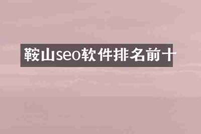 鞍山seo软件排名前十