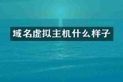 域名虚拟主机什么样子