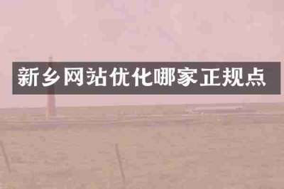 新乡网站优化哪家正规点