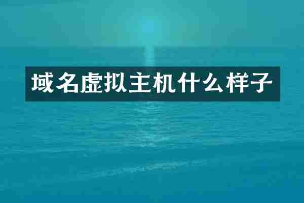 域名虚拟主机什么样子