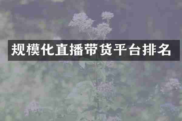 规模化直播带货平台排名