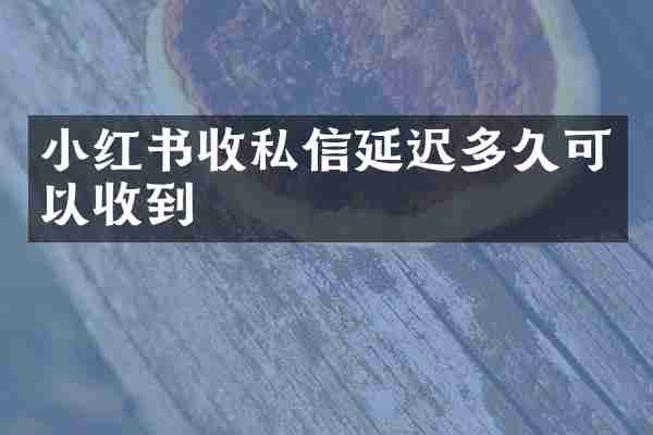 小红书收私信延迟多久可以收到