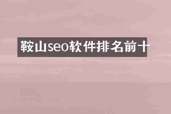 鞍山seo软件排名前十