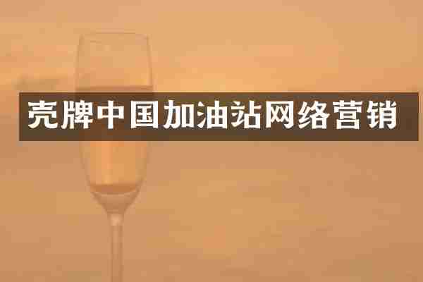 中国加油站网络营销