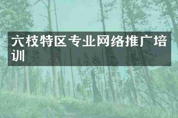 六枝特区专业网络推广培训