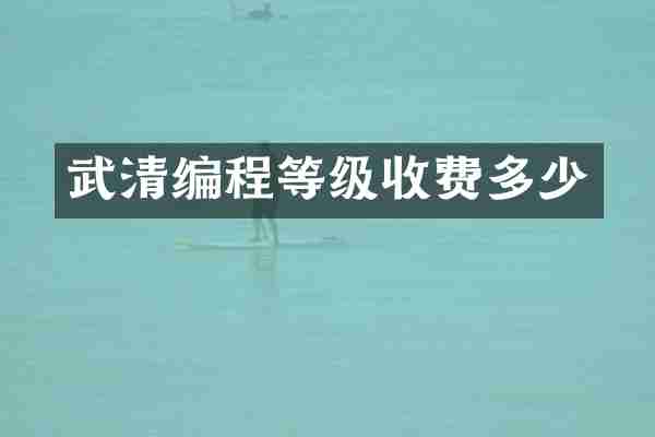 武清编程等级收费多少