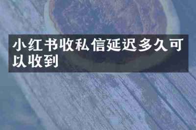 小红书收私信延迟多久可以收到