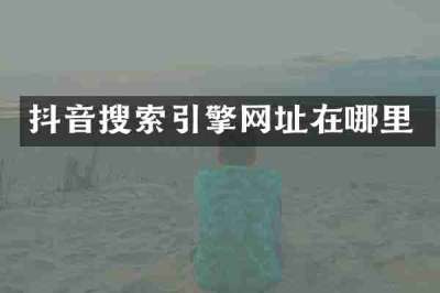 抖音搜索引擎网址在哪里