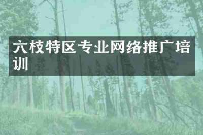 六枝特区专业网络推广培训