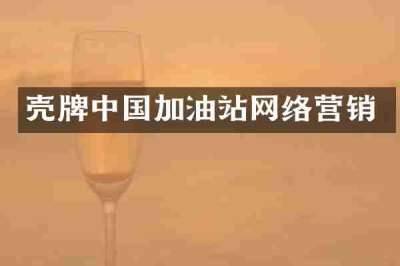 壳牌中国加油站网络营销