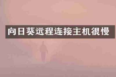 向日葵远程连接主机很慢