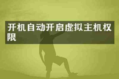 开机自动开启虚拟主机权限