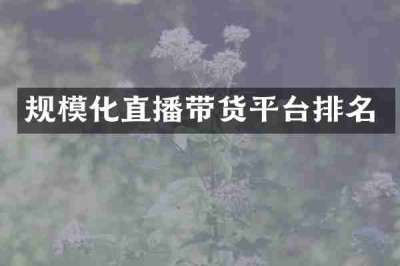 规模化直播带货平台排名