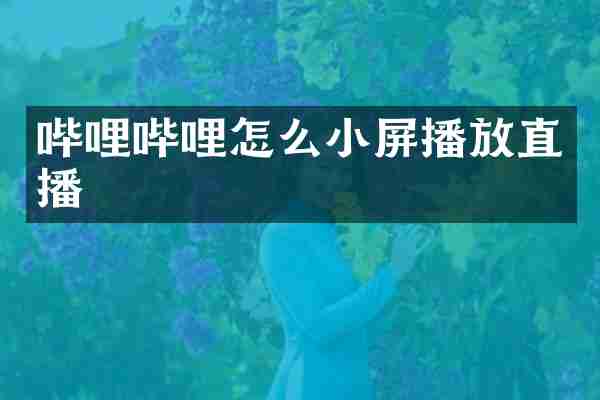 哔哩哔哩怎么小屏播放直播