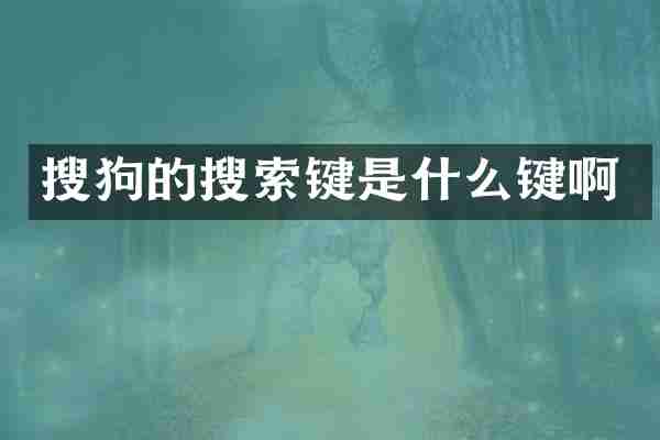 搜狗的搜索键是什么键啊