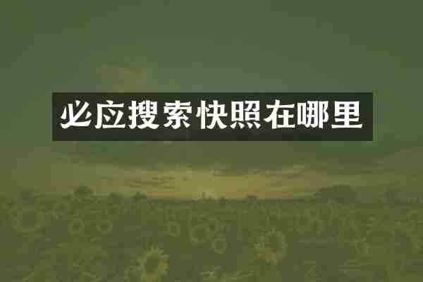 必应搜索快照在哪里