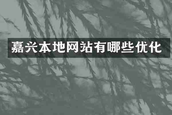 嘉兴本地网站有哪些优化