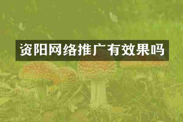 资阳网络推广有效果吗