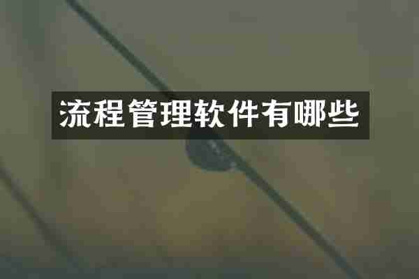 流程管理软件有哪些