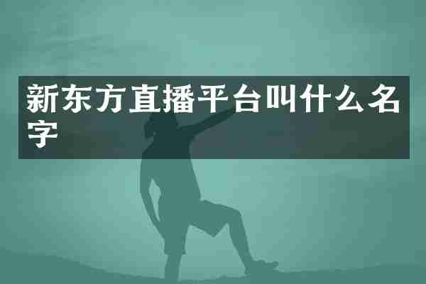 新东方直播平台叫什么名字