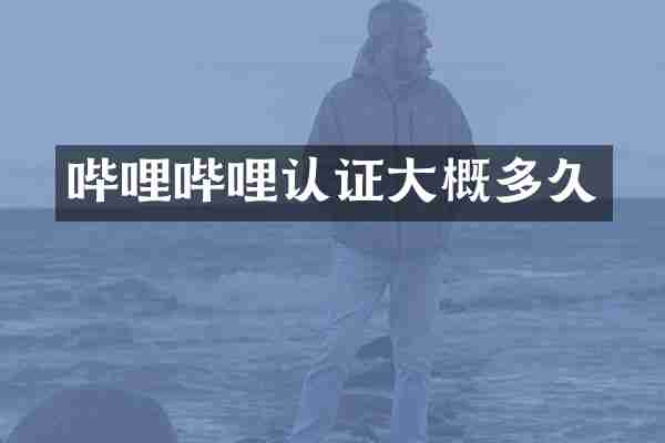 哔哩哔哩认证大概多久