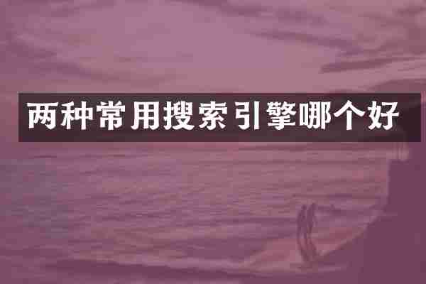 两种常用搜索引擎哪个好