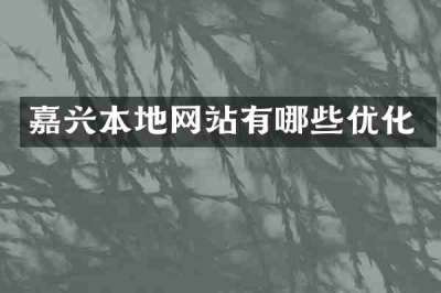 嘉兴本地网站有哪些优化